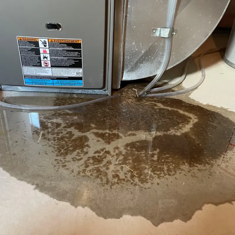 Appliance Leak Cleanup in New Hanover County, NC